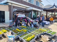 상주시, 화동면 이소2리, 주민참여형 담벼락 화단가꾸기 큰 호응