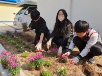 영덕 축산항초, 봄꽃 심기 체험