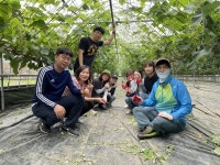 김천 율곡동, 포도 재배 농가서 일손돕기