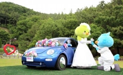 대구 달서구, 연애·결혼이야기 공모 이벤트 실시···달달한 연애·결혼 이야기 들려 주세요!