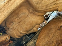 [주말은 등산] 경주 남산, 열암곡 마애부처님을 만나다