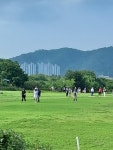 구미 미허가 파크골프장 6곳 양성화 한다