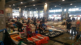 日 후쿠시마 오염수 방류 24일 오후 1시부터 시작