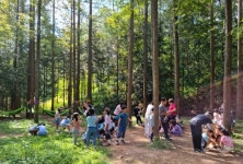 영덕 야성초 병설유치원 숲속 자연과 친해졌어요