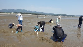의성북부초등학교, 갯벌 체험과 함께하는 신나는 현장체험학습