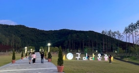 지역맞춤형 1호 정원, 구미 다온숲에 수국꽃 활짝… 힐링 명소로 부상