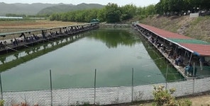 김천서 불법 도박 낚시터 운영한 업주 구속 송치