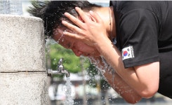 경북 영천·경산·포항·경주, 올들어 첫 폭염경보 ...낮 최고 기온 35도 이상
