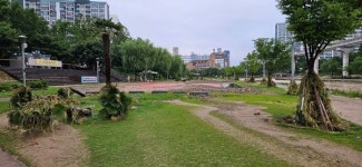 [포토뉴스] 수마가 할퀴고 간 대구 팔거천