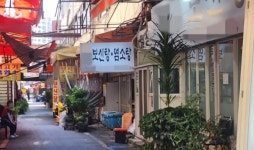 점심에도 빈 보신탕 골목··· 장사 접어야지 우짜겠노