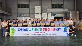 경산 자인농협 샤인머스캣 두바이 수출 첫 선적식
