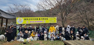 생활인구 증대와 지역 교류 활성화를 위한 특별한 행사 개최 봉화군, 제1회 봉화강아지마을 총 가족모임 성료