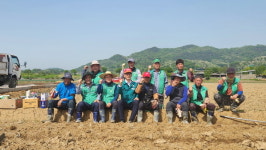 예천 풍양면 새마을지도자회, 자조협동사업 농로포장 실시