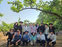 김천시 상하수도과, 농소면 자두농가 일손 돕기