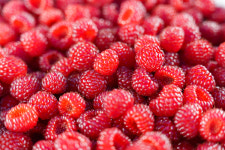 월성원자력본부, 지역특산물 소비촉진을 위한 지원