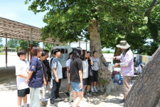 포항 죽천초등학교, 어린왕자와 모아나가 우리 학교 담장에 왔어요!