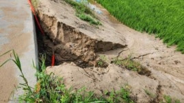 고령군 대가야물길(회천)정비사업 부실공사 말썽