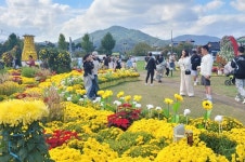 경주 황금정원 나들이, 10일간 황금빛 추억 선사