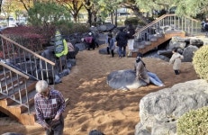 대구 수성구, 산책길의 표정을 바꾸다