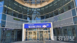 케이메디허브, 심혈류 분석 속도·정확도 동시 검증