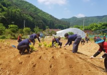 담양군 산림조합 산촌생태마을 가꾸기