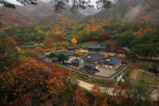 동해시, 삼화사 발굴조사 본격 착수