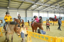 미래의 승마인 학생에 승마체험 기회 제공