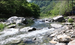 서울근교로 떠나는 여름여행! 가평용추계곡펜션 용추스케치펜션