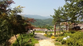 산림욕장의 천국 평창으로 힐링하러 오세요