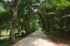 홍천 수타사 산소길, 8월의 걷기 여행길 선정