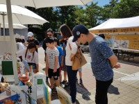 김포개곡초, 김포시 도서관 책 축제서학생 동아리 주도 체험 부스 운영