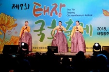 수원시 영통구 태장동 제7회 태장국화축제 성황