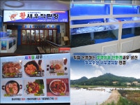 강남구청역 맛집 사계절내내 생새우구이를 먹을수 있는곳 창우수산 활새우직판장 인기