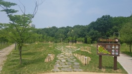 김포시, 장기동에 솔터힐링 무궁화동산 조성