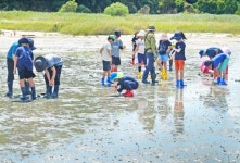 도봉환경교육센터 여름방학 특별 환경체험 프로그램 참여자 모집
