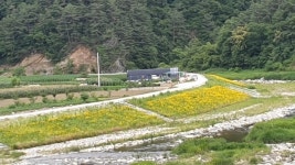 영월군, 옥동지구 하천재해예방사업 준공