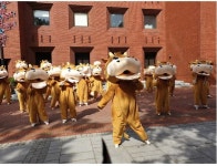 제15회 횡성한우축제 수도권 홍보