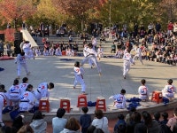 수원시 장안구 정자3동 제9회 정자마을 달빛문화제 성황