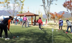 계룡시, 2019 어울림 파크골프대회개최