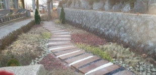 수원국유림관리소, 학생들에게 건강한 숲은 선물합니다.