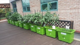 하남시, 농촌 에듀팜 치유농장 시범사업