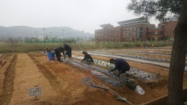 인천환경공단, 영종도 주말농장 무료분양