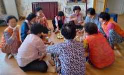 고흥군, Go흥! 활력Up! 청청활력단 풍류마을 출동