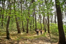 원주시, 치악산 둘레길 걷기 프로그램 운영