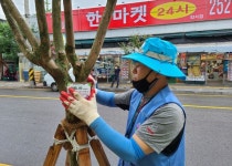 수원시, 시민과 함께하는 가로수 표찰 달기