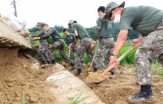 계룡시, 집중호우 피해복구에 '온힘'