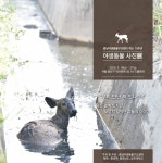 충남야생동물구조센터, 우리 만난 적 있나요? 야생동물 사진 展