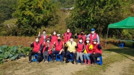 동두천시 불현동, 이웃돕기 기금마련위한 고구마·들깨 수확