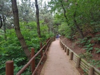 부평구 장수산 무장애나눔길, 사후관리 모니터링 평가 최우수기관 선정