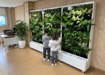 안성시, 바이오월 설치로 미세먼지 잡다